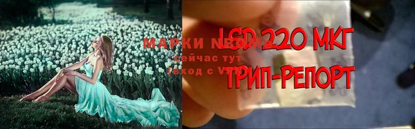 гашик Кулебаки