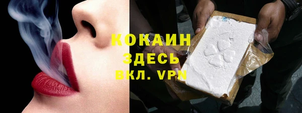 амф Корсаков