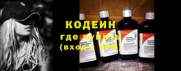 гашик Кулебаки